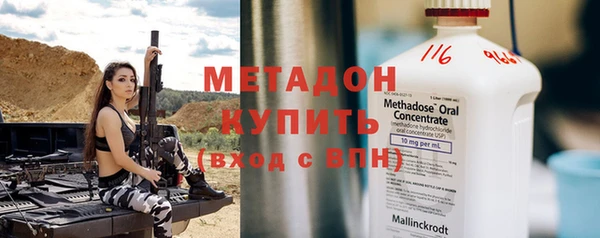 гидра Богданович