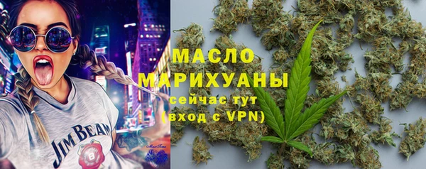 гидра Богданович