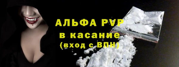 гидра Богданович