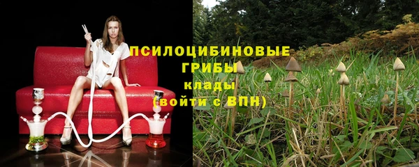 мяу мяу мука Богородицк